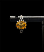 Citrine Sunroom Earring