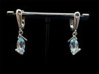 Topaz Terrace Earrings