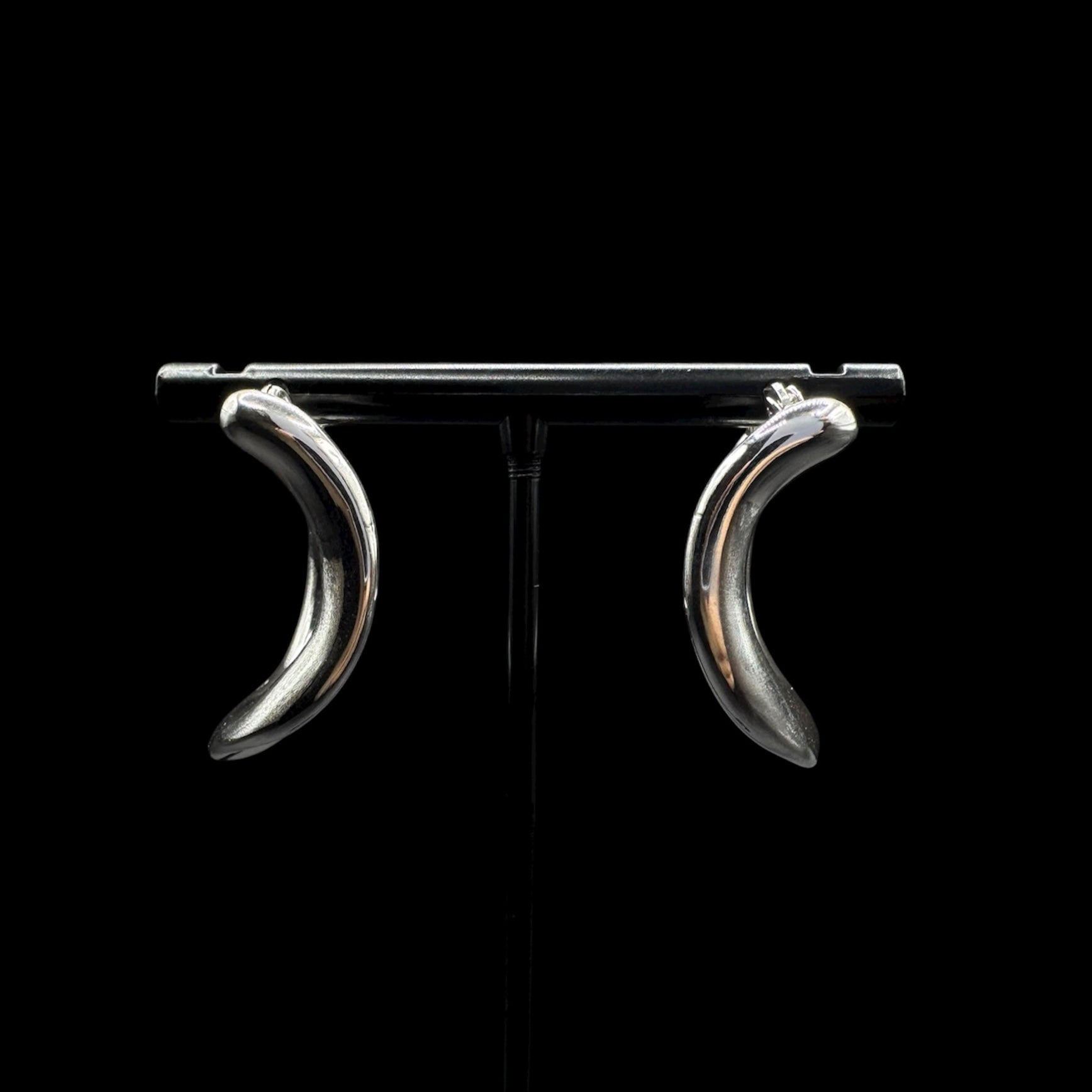 Silver Wave Earrings