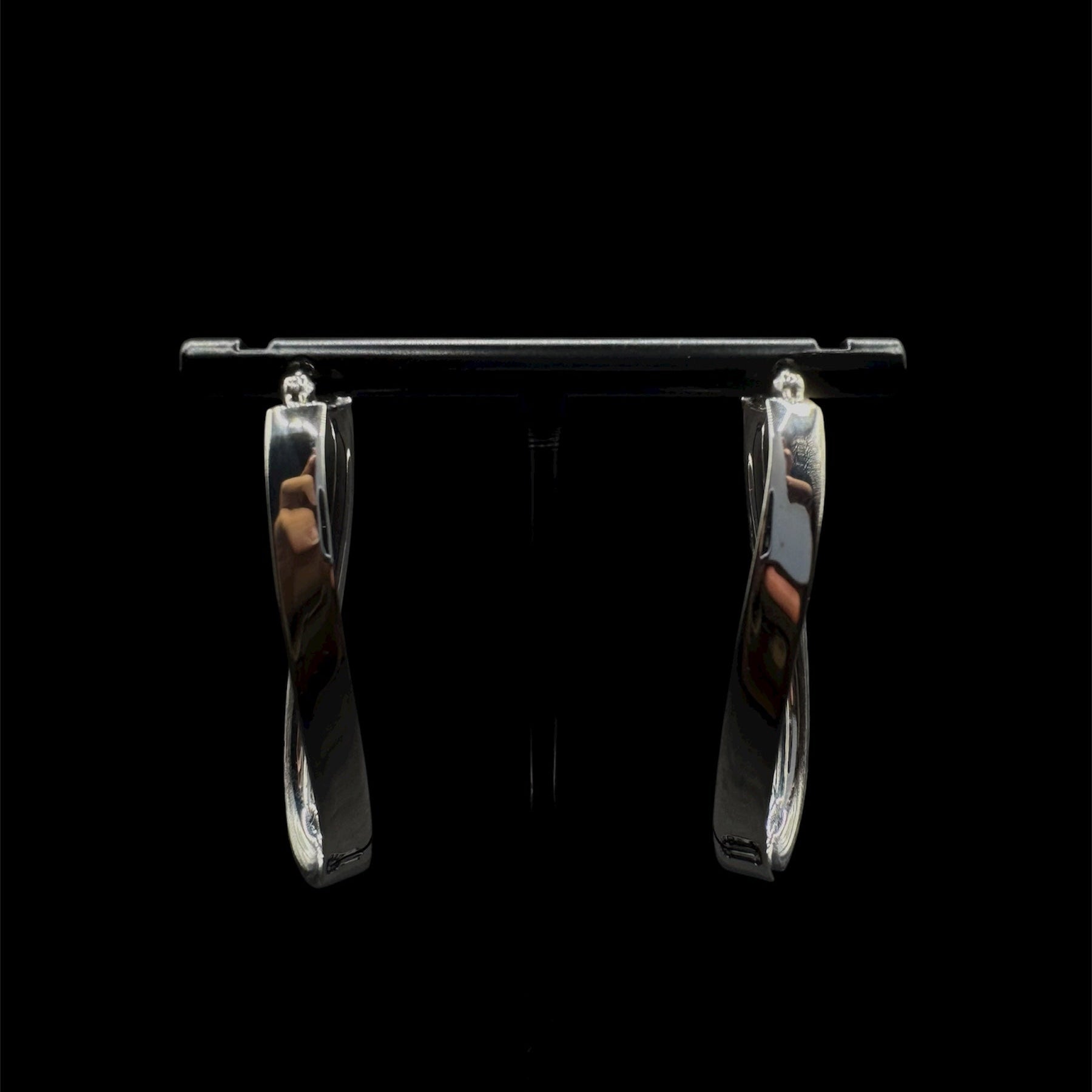 Twist and Shout Earring